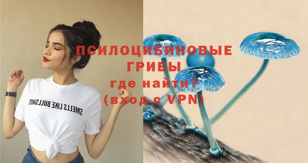 мет Осинники