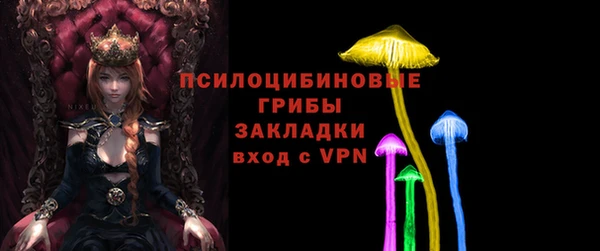 метадон Весьегонск