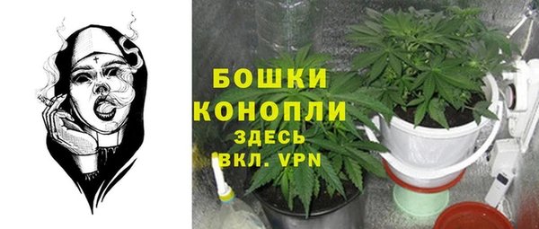 метадон Весьегонск