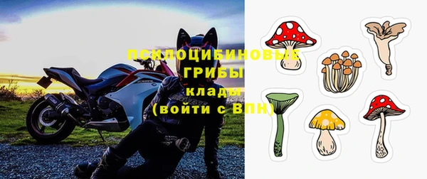 мет Осинники