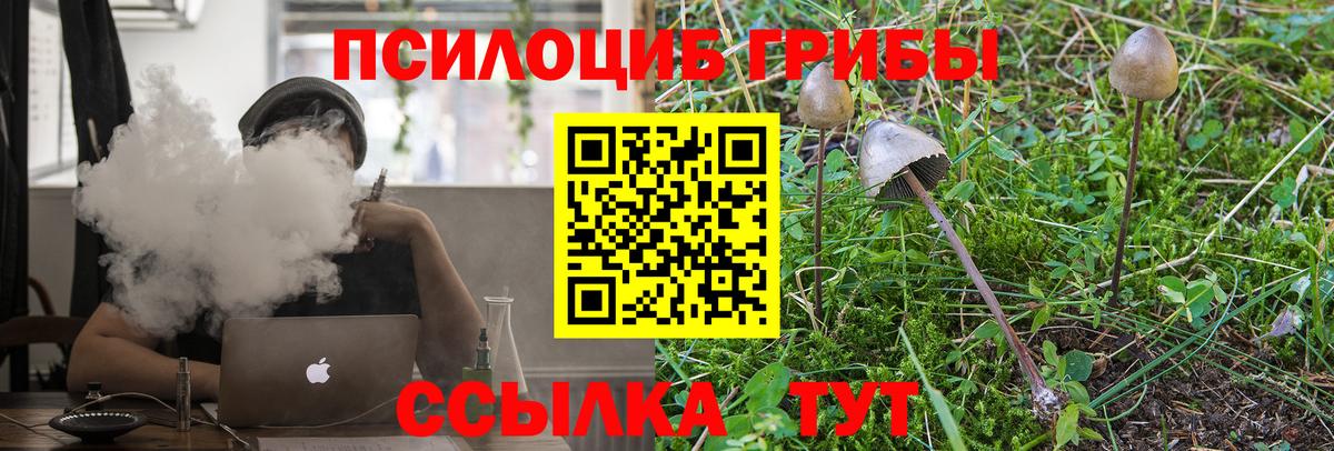Галлюциногенные грибы MAGIC MUSHROOMS  Борзя 