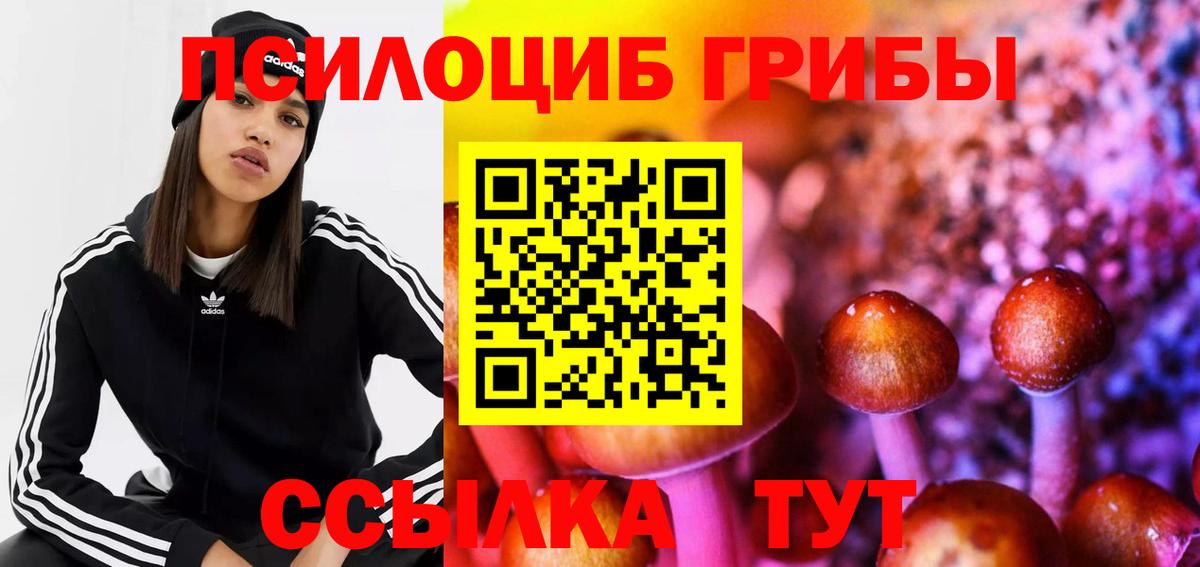 Псилоцибиновые грибы прущие грибы Борзя
