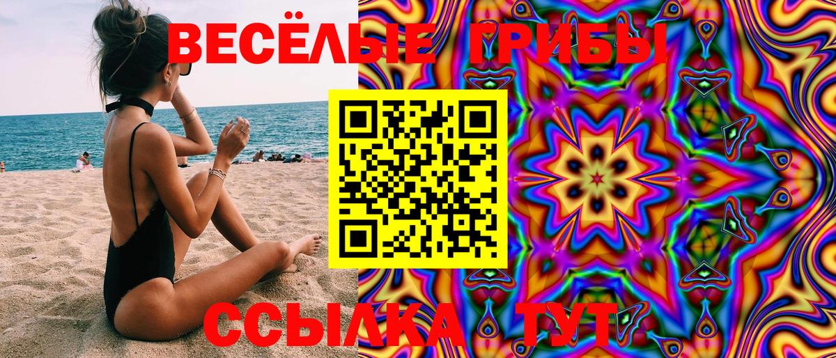 хочу   Галлюциногенные грибы Psilocybe  Галлюциногенные грибы Magic Shrooms  Вход с VPN  Борзя 